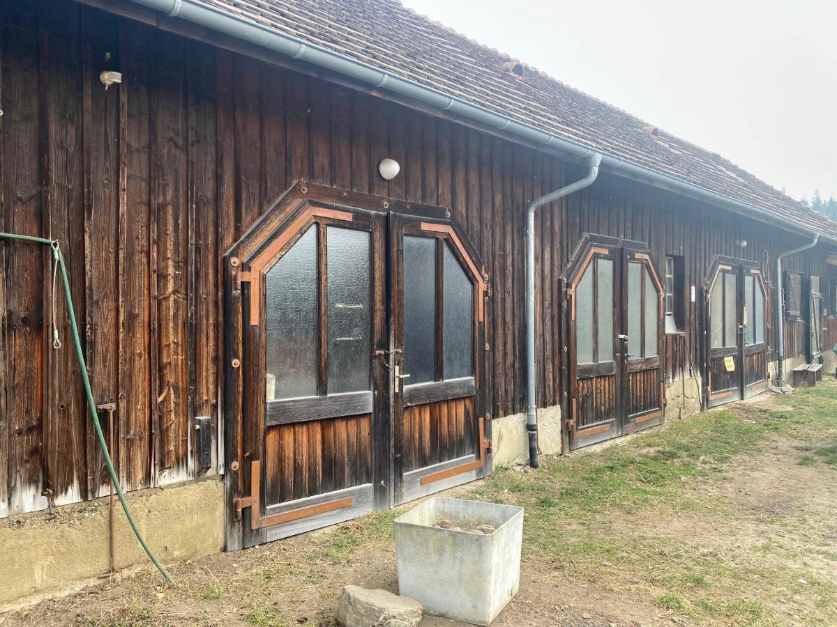 Ferienwohnung Bio Hofgut Wiggenweiler Bermatingen Exterior foto